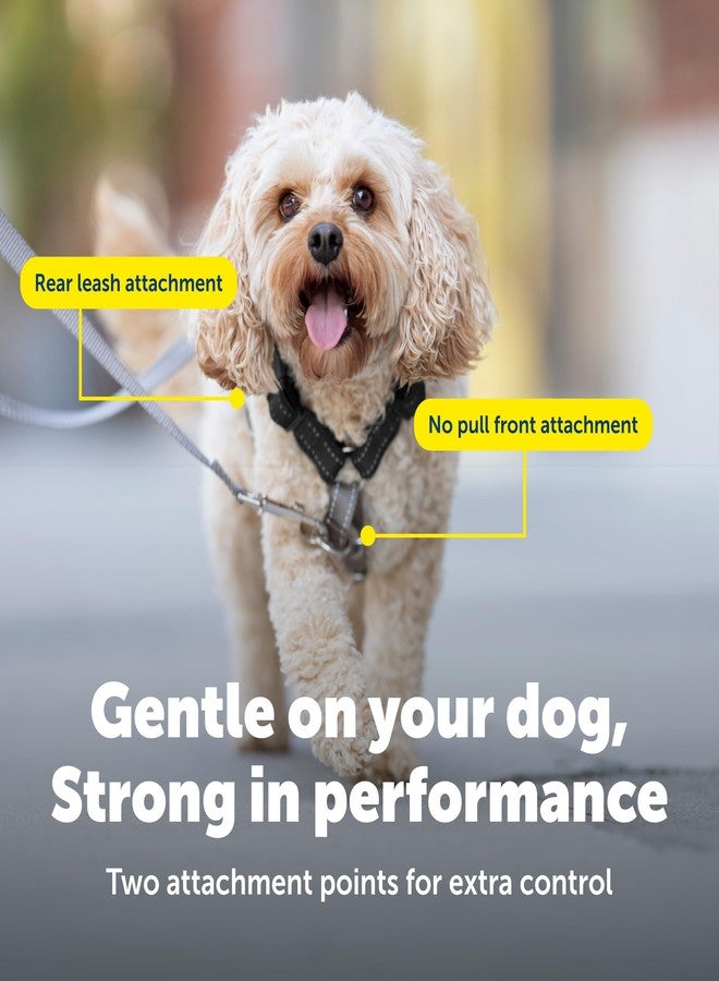 بيت سيف حزام PetSafe 3 في 1 مع مقود تحكم ثنائي النقاط - معدات تدريب متينة ومصممة خصيصًا لتدريب سلوك لطيف وتقليل شد المقود - تصميم مبطن يسمح بالتهوية - كبير - أسود - Image 4